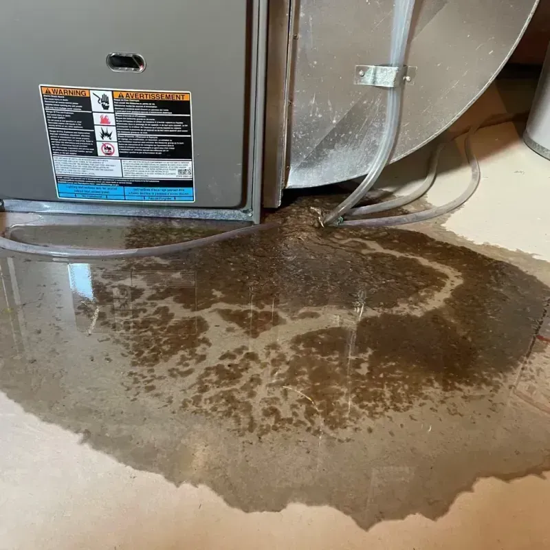 Appliance Leak Cleanup in South Russell, OH